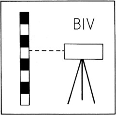 BIV