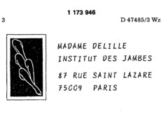 MADAME DELILLE INSTITUT DES JAMBES