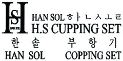 HS HAN SOL H.S CUPPING SET HAN SOL COPPING SET