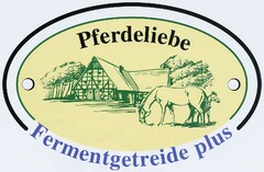 Pferdeliebe Fermentgetreide plus