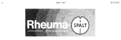 Rheuma-SPALT antirheumatisch entzündungshemmend