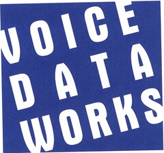 VOICE DATA WORKS