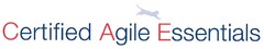 Certified Agile Essentials