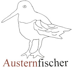 Austernfischer