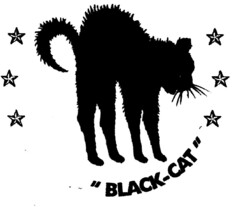 BLACK-CAT