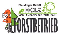 FORSTBETRIEB Staudinger GmbH HOLZ VOM ANFANG BIS ZUM FALL