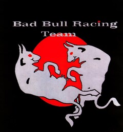 Bad Bull Racing Team