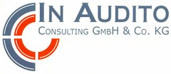 IN AUDITO CONSULTING GMBH & CO. KG