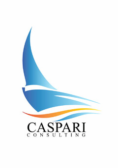 CASPARI CONSULTING