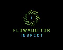 FLOWAUDITOR INSPECT