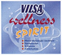 VILSA wellness SPIRIT