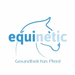 equinetic Gesundheit fürs Pferd