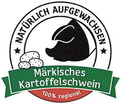 NATÜRLICH AUFGEWACHSEN Märkisches Kartoffelschwein 100% regional