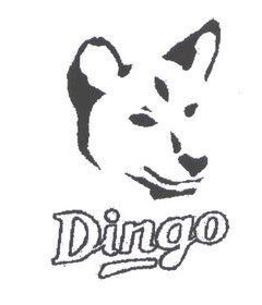 DINGO