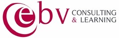 EBV CONSULTING & LEARNING