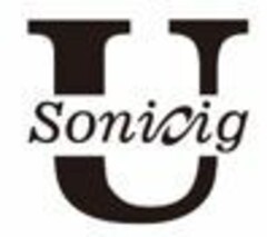 Usonicig