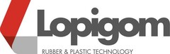 LOPIGOM RUBBER & PLASTIC TECHNOLOGY