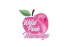 Wild Pink Flamingo