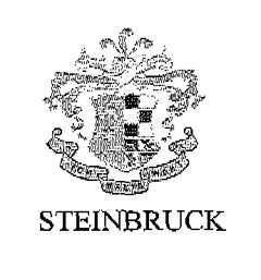 STEINBRUCK