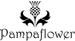 Pampaflower