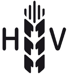 HV