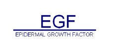 EGF EPIDERMAL GROWTH FACTOR