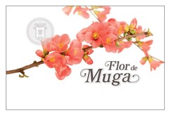 FLOR DE MUGA