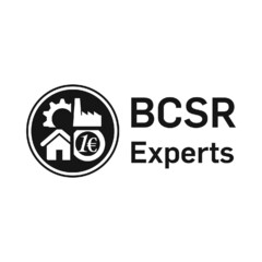 B C S R Experts