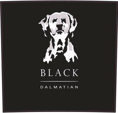 BLACK DALMATIAN