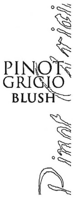 PINOT GRIGIO BLUSH