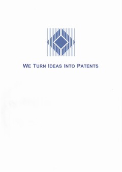 WE TURN IDEAS INTO PATENTS