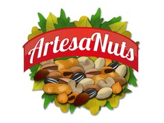 ARTESANUTS