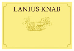Lanius-Knab