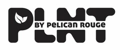 PLNT BY PELICAN ROUGE