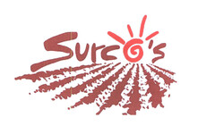 Surco's
