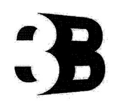 3B