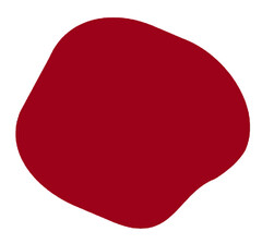 Representa una mancha de color rojo con un contorno curvo e irregular en tramos convexos consecutivos sobre uno cóncavo en la parte superior izquierda.