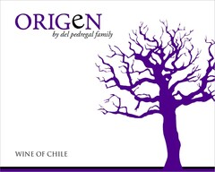 ORIGEN BY DEL PEDREGAL FAMILY WINE OF CHILE