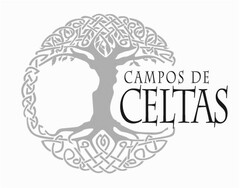 CAMPOS DE CELTAS