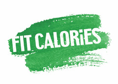 FIT CALORIES