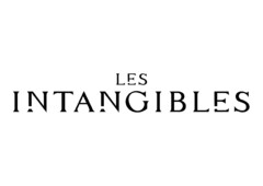 LES INTANGIBLES