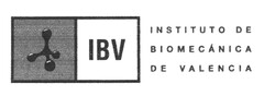 IBV INSTITUTO DE BIOMECÁNICA DE VALENCIA