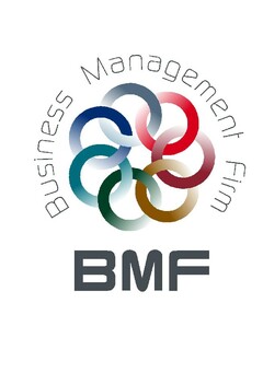 BUSINESS MANAGEMENT FIRM BMF