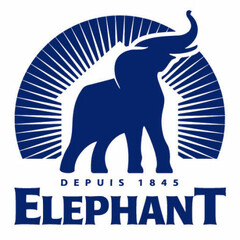 ELEPHANT DEPUIS 1845