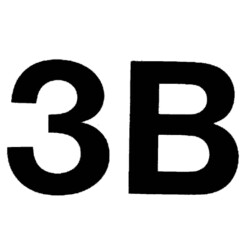 3 B