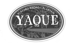 PLATANO MACHO PLANTAIN YAQUE