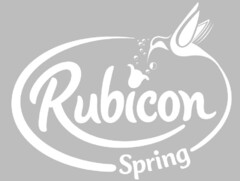 RUBICON SPRING