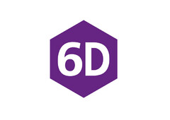 6D