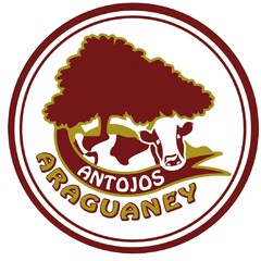 Antojos Araguaney