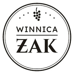 WINNICA ŻAK